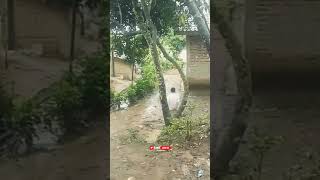 Download lagu STORY WA LUCU 30 DETIK TERBARU 2021||STORY WA TERKOCAK LUCU TERBARU 2021||STORY WA KEREN KEKINIAN mp3 Download lagu STORY WA LUCU 30 DETIK TERBARU 2021||STORY WA TERKOCAK LUCU TERBARU 2021||STORY WA KEREN KEKINIAN mp3