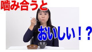 かみ合わせと味覚の関係は？