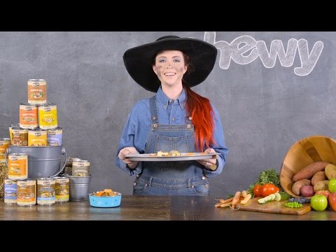 Merrick Canned Dog Food | Chewy