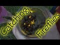 Catching Fireflies at Fuller Farm