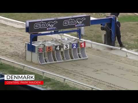 Denmark - Central Park Maiden