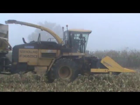 Loonw. Jumat Fagne - Chimay