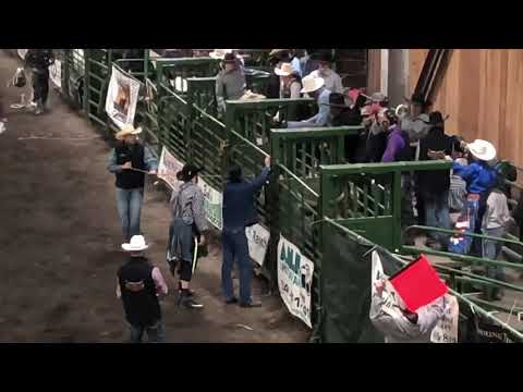 Bull ride Cameron Jones on Dirt Devil