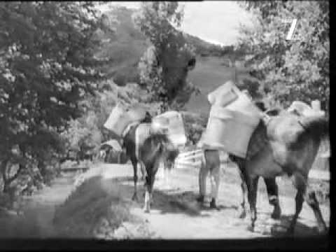 Muntii Apuseni - Tara Motilor