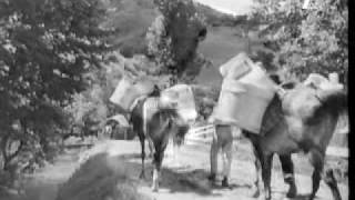 The Country of Motzi (1938) Video