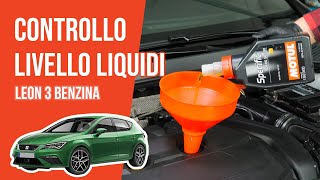 Youtube thumbnail of video "Controllo e rabbocco livello liquidi Leon 3 1.5 TSI 📏"