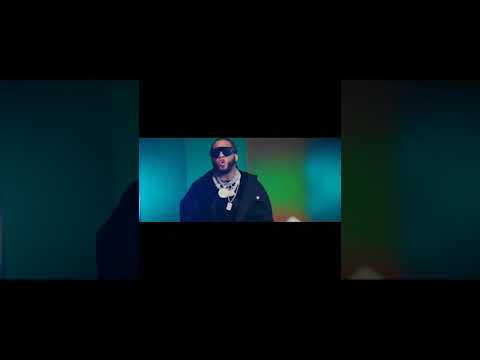 EL ALFA FT YOMEL EL MELOSO FT HARAKA KIKO FT KIKO EL CRAZY VIDEO OFICIAL