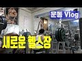 새로운 헬스장, 운동vlog