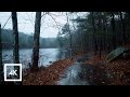 Relaxing Winter Rain Walk Thunderstorm Sounds For Sleep Stress Relief ASMR