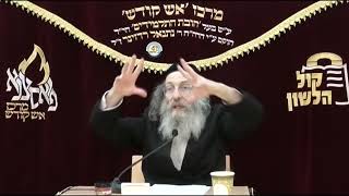 אידיש- הרב אלימלך בידרמן |הכנה לראש השנה תשפ"ו - התעוררות קודם תקיעת שופר /לשיעור בעברית👇🏻 (ארגון קול הלשון) - התמונה מוצגת ישירות מתוך אתר האינטרנט יוטיוב. זכויות היוצרים בתמונה שייכות ליוצרה. קישור קרדיט למקור התוכן נמצא בתוך דף הסרטון אידיש- הרב אלימלך בידרמן |הכנה לראש השנה תשפ"ו - התעוררות קודם תקיעת שופר /לשיעור בעברית👇🏻 (ארגון קול הלשון) - התמונה מוצגת ישירות מתוך אתר האינטרנט יוטיוב. זכויות היוצרים בתמונה שייכות ליוצרה. קישור קרדיט למקור התוכן נמצא בתוך דף הסרטון