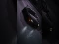 This Supra Back That Up To The Beat Edit