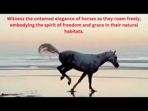 Witness the untamed elegance of horses! #shorts #short #horse #trending #viral #free #animal#amazing