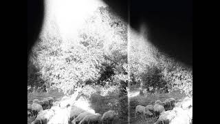 Godspeed You! Black Emperor - Asunder  Sweet and Other Distress [full album]