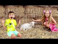 Diana and Roma in funny animal stories for kids