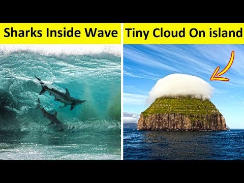 Nature Photos That Look Fake But Aren't Video