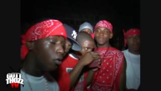 BLOODS in the BRONX NY (GANG LAND)