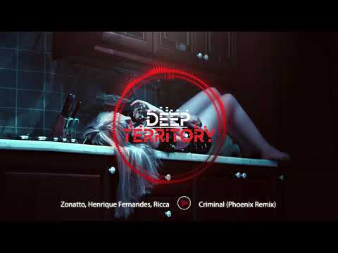 Zonatto, Henrique Fernandes, Ricca  - Criminal (Phoenix Remix)
