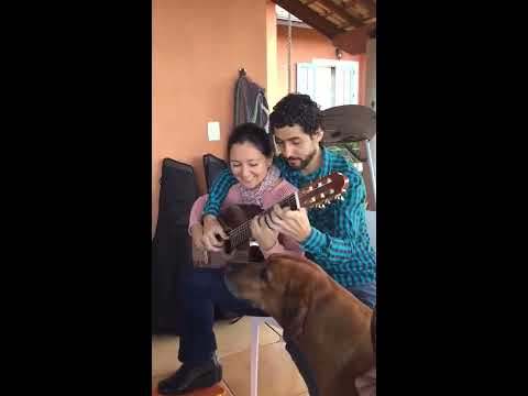 4 hands guitar - Tico Tico no Fubá (Zequinha de Abreu) Duo Siqueira Lima