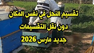 تقسيم النحل في نفس المكان جديد 2026/03/19 مع #مربي_النحل_مفيد_الجزائري 