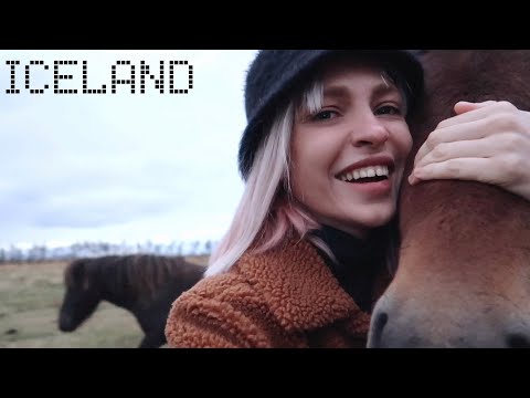 уехала работать на ферму в Исландии  | влог