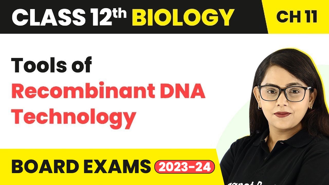 Tools of Recombinant DNA Technology | Class 12 Biology Chapter 11 (2022-23)