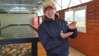 "국내 최초" 초대형 수조 ( 실내 노출 연못) 아쿠아포닉스 이쁘고 깔끔하죠?  "Best aquaponic…