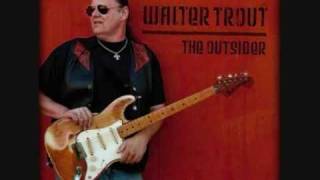 Walter Trout - Welcome to the Human Race (solo backing track)
