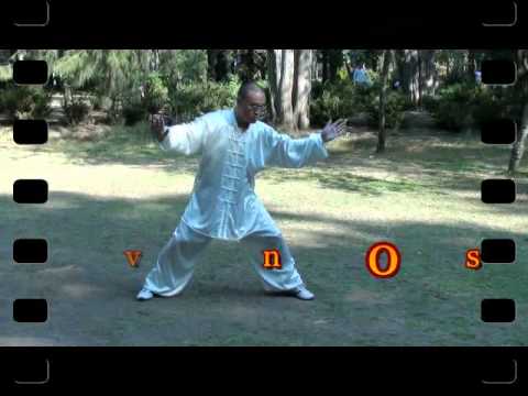 Applied Taijiquan of Chen style.avi