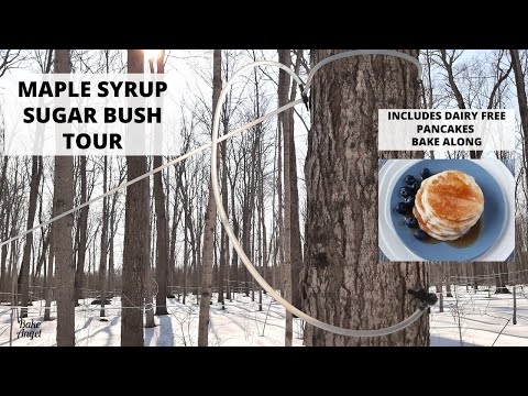How to make Dairy Free Pancakes | Includes a tour of a real Canadian Maple Syrup Sugar Bush
