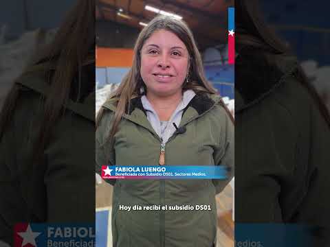 269 subsidios para Nueva Imperial