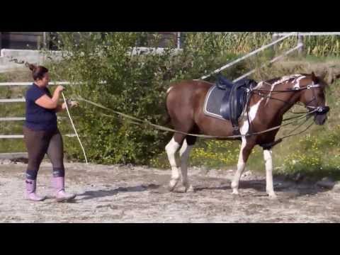 Travers rechts Jumper 130829
