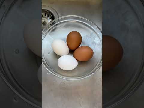 How to test if eggs are fresh