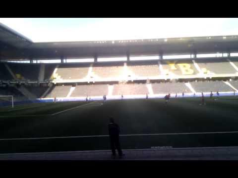 Testspiel YB - Lausanne