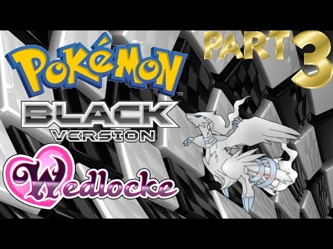 Pokémon Black Wedlocke, Part 3, "Im an Idiot!"