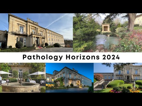 Play Video Youtube Video