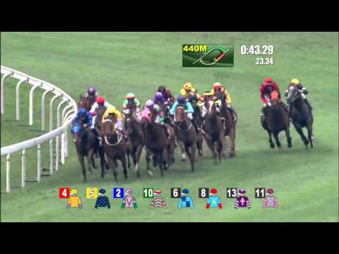 [Champions Mile & Chairman's Sprint Prize 2016] CHAUTAUQUA won the Chairman's Sprint Prize 2016