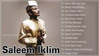 Download lagu Lagu tahun 2000 - THE BEST OF SALEEM IKLIM FULL ALBUM - Lagu Malaysia lama Populer mp3