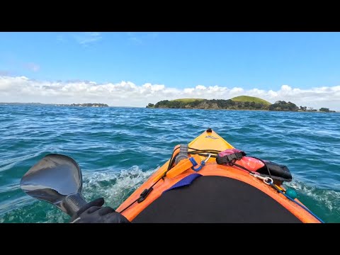 Sea kayak trip to Motuihe island