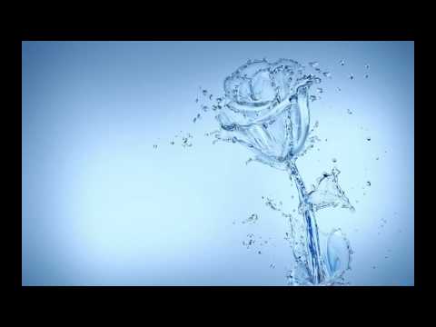 The White Panda - Bittersweet Donald (Mac Miller / The Verve)