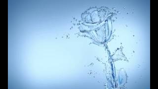 The White Panda - Bittersweet Donald (Mac Miller / The Verve)