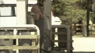 Le coeur est un oiseaux - France D'amour