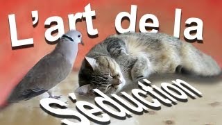 027 L'ART DE LA SÉDUCTION