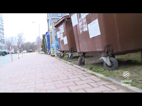 Agresywny pies rzucił się na policjantkę. Padły strzały