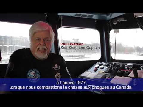 Le militant écologiste Paul Watson évoque son amie Brigitte Bardot (2015)