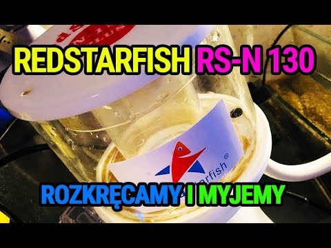 (150) RedStarfish RS-N 130 Plus / Serwis odpieniacza - Akwarium morskie - Reef aquarium