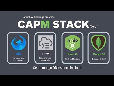 SAP BTP CAPM Professional Development Training | Corporate Training on BTP with HANA Cloud | CAPM