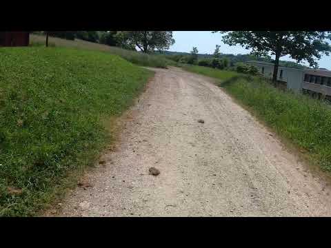 Natur Pur #32.1   Kandern/ der Weg zum Zeitweg