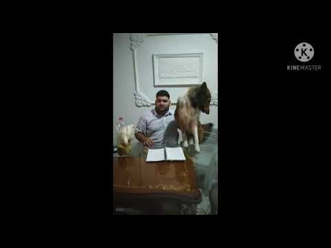 pronunciacion de nombres cientificos