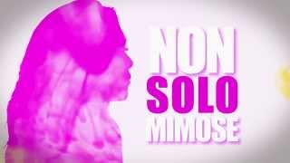 preview picture of video 'PROMO SPECIALE NON SOLO MIMOSE   POZZUOLI'