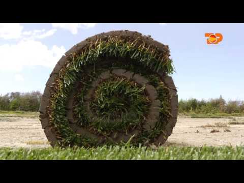 Ne Shtepine Tone, 14 Qershor 2016, Pjesa 5 - Top Channel Albania - Entertainment Show